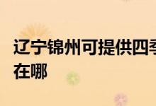 遼寧錦州可提供四季沐歌熱水器維修服務(wù)地址在哪