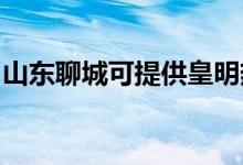 山東聊城可提供皇明熱水器維修服務(wù)地址在哪