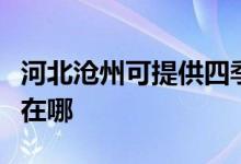 河北滄州可提供四季沐歌熱水器維修服務(wù)地址在哪