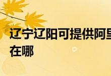 遼寧遼陽可提供阿里斯頓熱水器維修服務(wù)地址在哪