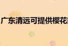 廣東清遠(yuǎn)可提供櫻花熱水器維修服務(wù)地址在哪