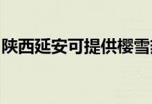 陜西延安可提供櫻雪熱水器維修服務(wù)地址在哪