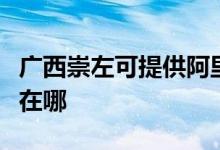 廣西崇左可提供阿里斯頓熱水器維修服務(wù)地址在哪