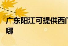廣東陽江可提供西門子熱水器維修服務(wù)地址在哪
