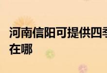 河南信陽(yáng)可提供四季沐歌熱水器維修服務(wù)地址在哪