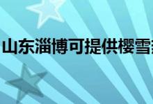 山東淄博可提供櫻雪熱水器維修服務(wù)地址在哪