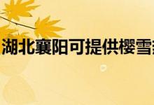 湖北襄陽可提供櫻雪熱水器維修服務(wù)地址在哪