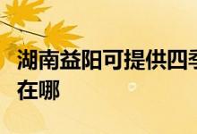 湖南益陽(yáng)可提供四季沐歌熱水器維修服務(wù)地址在哪