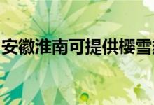 安徽淮南可提供櫻雪熱水器維修服務(wù)地址在哪