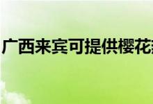 廣西來(lái)賓可提供櫻花熱水器維修服務(wù)地址在哪