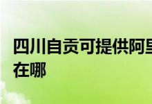 四川自貢可提供阿里斯頓熱水器維修服務(wù)地址在哪