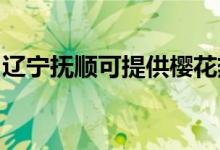 遼寧撫順可提供櫻花熱水器維修服務(wù)地址在哪