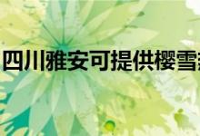 四川雅安可提供櫻雪熱水器維修服務(wù)地址在哪