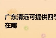 廣東清遠(yuǎn)可提供四季沐歌熱水器維修服務(wù)地址在哪