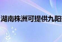 湖南株洲可提供九陽熱水器維修服務地址在哪