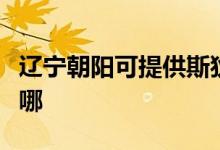 遼寧朝陽可提供斯狄渢熱水器維修服務(wù)地址在哪