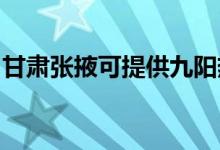 甘肅張掖可提供九陽熱水器維修服務地址在哪