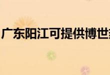 廣東陽江可提供博世熱水器維修服務地址在哪