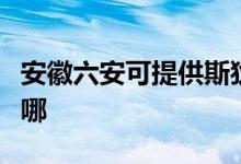 安徽六安可提供斯狄渢熱水器維修服務(wù)地址在哪