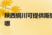 陜西銅川可提供斯狄渢熱水器維修服務(wù)地址在哪