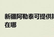 新疆阿勒泰可提供斯狄渢熱水器維修服務地址在哪