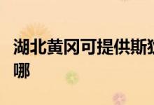 湖北黃岡可提供斯狄渢熱水器維修服務(wù)地址在哪