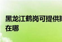 黑龍江鶴崗可提供斯狄渢熱水器維修服務(wù)地址在哪