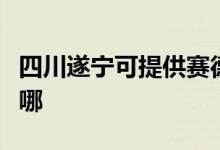 四川遂寧可提供賽德隆熱水器維修服務(wù)地址在哪