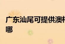 廣東汕尾可提供澳柯瑪熱水器維修服務地址在哪