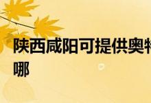 陜西咸陽可提供奧特朗熱水器維修服務(wù)地址在哪