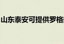 山東泰安可提供羅格熱水器維修服務(wù)地址在哪