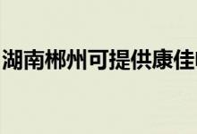 湖南郴州可提供康佳電水壺維修服務地址在哪