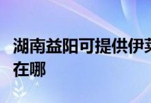 湖南益陽可提供伊萊克斯熱水器維修服務(wù)地址在哪