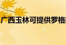 廣西玉林可提供羅格熱水器維修服務(wù)地址在哪
