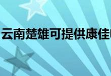 云南楚雄可提供康佳電水壺維修服務地址在哪