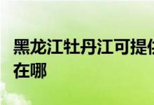 黑龍江牡丹江可提供利仁電水壺維修服務地址在哪