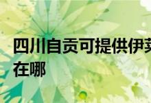 四川自貢可提供伊萊克斯熱水器維修服務(wù)地址在哪