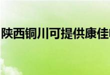 陜西銅川可提供康佳電水壺維修服務地址在哪