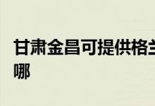 甘肅金昌可提供格蘭仕電烤箱維修服務(wù)地址在哪