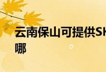 云南保山可提供SKG咖啡機(jī)維修服務(wù)地址在哪