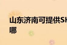 山東濟(jì)南可提供SKG咖啡機(jī)維修服務(wù)地址在哪