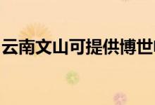 云南文山可提供博世電烤箱維修服務地址在哪