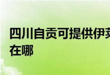 四川自貢可提供伊萊克斯面包機維修服務(wù)地址在哪