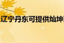 遼寧丹東可提供燦坤面包機維修服務(wù)地址在哪