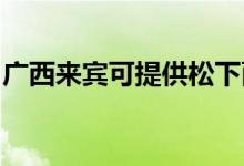 廣西來賓可提供松下面包機維修服務地址在哪
