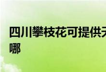四川攀枝花可提供天際面包機(jī)維修服務(wù)地址在哪