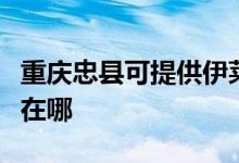 重慶忠縣可提供伊萊克斯面包機維修服務(wù)地址在哪