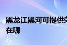 黑龍江黑河可提供榮事達(dá)加濕器維修服務(wù)地址在哪