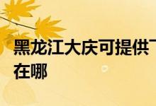 黑龍江大慶可提供飛利浦面包機維修服務地址在哪