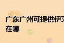 廣東廣州可提供伊萊克斯面包機維修服務(wù)地址在哪